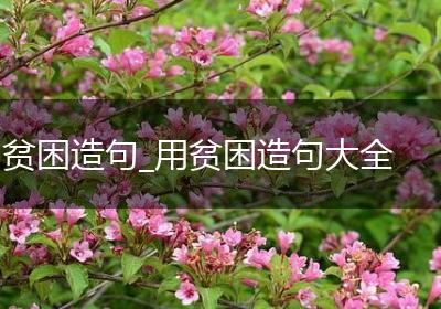 贫困造句_用贫困造句大全