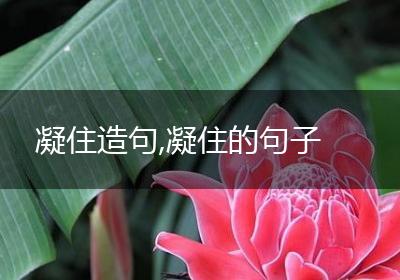 凝住造句,凝住的句子