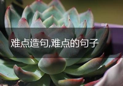 难点造句,难点的句子