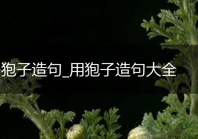 狍子造句_用狍子造句大全