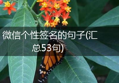 微信个性签名的句子(汇总53句)