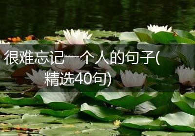 很难忘记一个人的句子(精选40句)