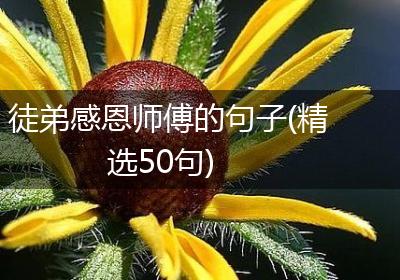 徒弟感恩师傅的句子(精选50句)