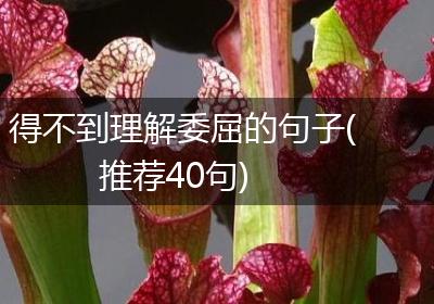 得不到理解委屈的句子(推荐40句)