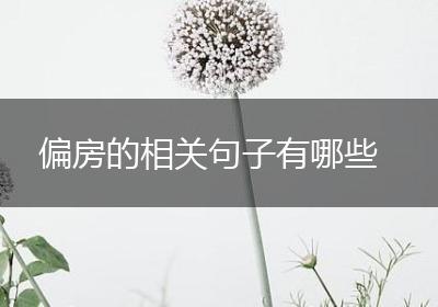 偏房的相关句子有哪些