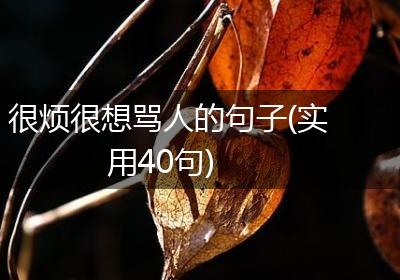 很烦很想骂人的句子(实用40句)