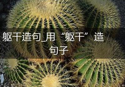 躯干造句_用“躯干”造句子