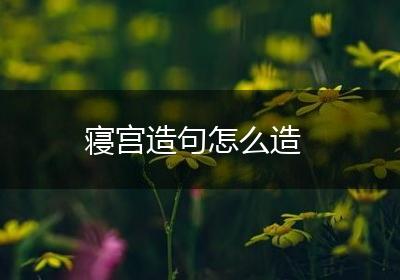 寝宫造句怎么造