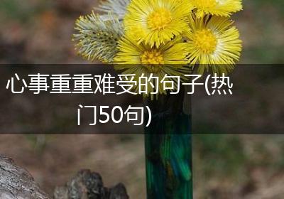 心事重重难受的句子(热门50句)