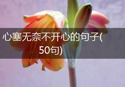 心塞无奈不开心的句子(50句)