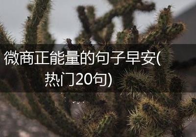 微商正能量的句子早安(热门20句)