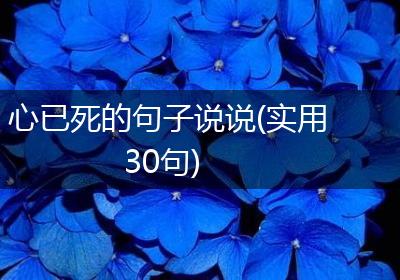 心已死的句子说说(实用30句)