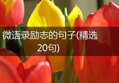 微语录励志的句子(精选20句)