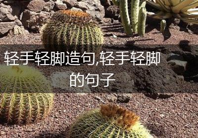 轻手轻脚造句,轻手轻脚的句子