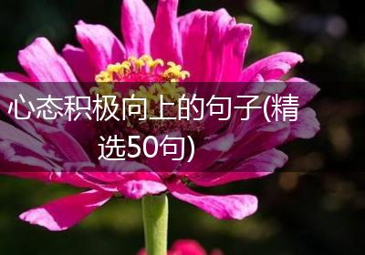 心态积极向上的句子(精选50句)