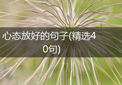 心态放好的句子(精选40句)
