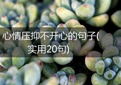 心情压抑不开心的句子(实用20句)