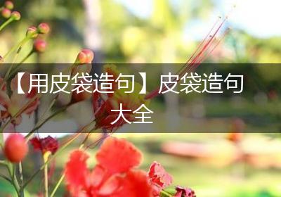 【用皮袋造句】皮袋造句大全