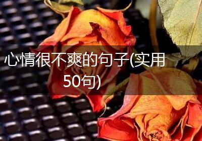心情很不爽的句子(实用50句)