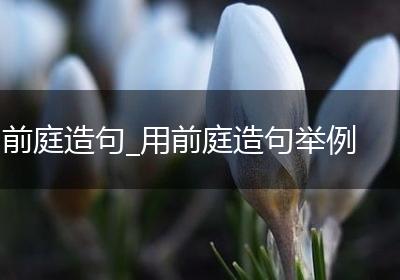 前庭造句_用前庭造句举例