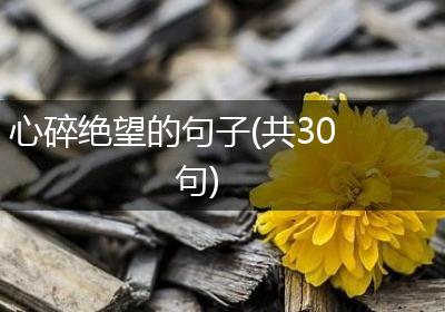 心碎绝望的句子(共30句)