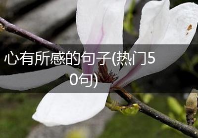 心有所感的句子(热门50句)
