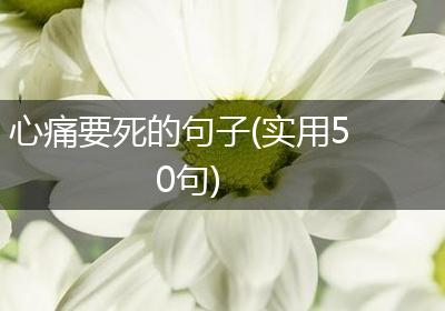 心痛要死的句子(实用50句)