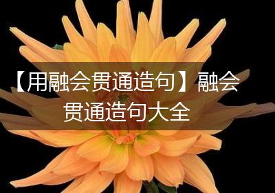 【用融会贯通造句】融会贯通造句大全