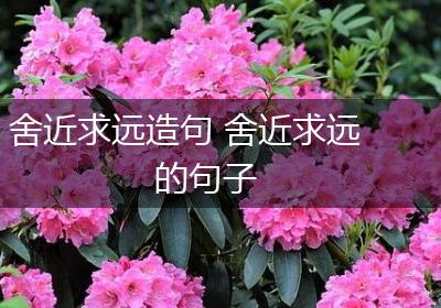 舍近求远造句 舍近求远的句子