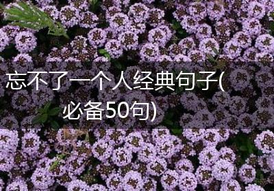 忘不了一个人经典句子(必备50句)