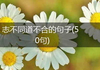 志不同道不合的句子(50句)