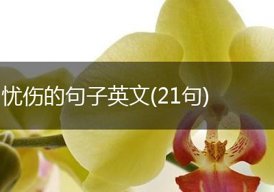 忧伤的句子英文(21句)