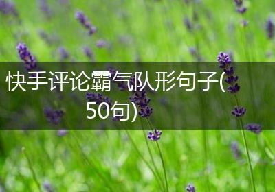 快手评论霸气队形句子(50句)