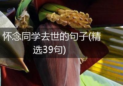 怀念同学去世的句子(精选39句)