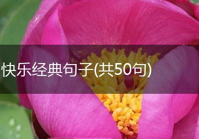 快乐经典句子(共50句)