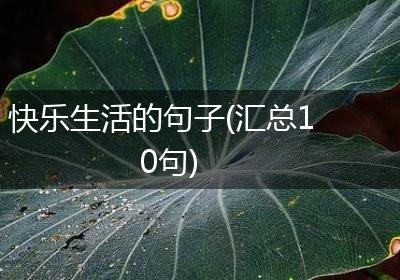 快乐生活的句子(汇总10句)