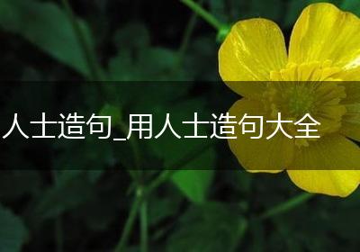 人士造句_用人士造句大全
