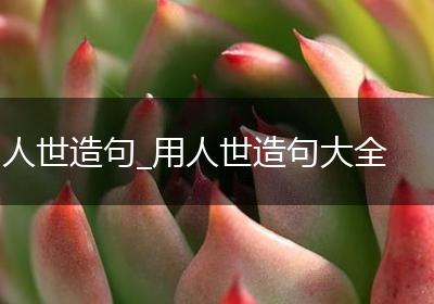 人世造句_用人世造句大全