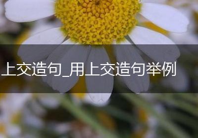 上交造句_用上交造句举例