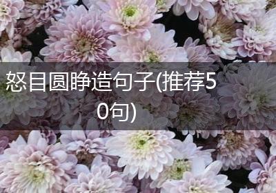 怒目圆睁造句子(推荐50句)