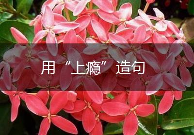 用“上瘾”造句