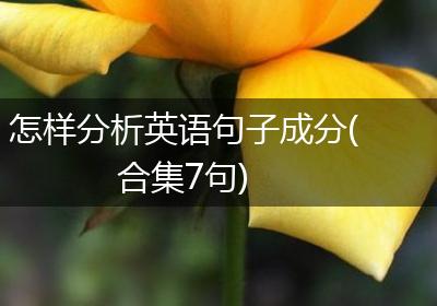怎样分析英语句子成分(合集7句)