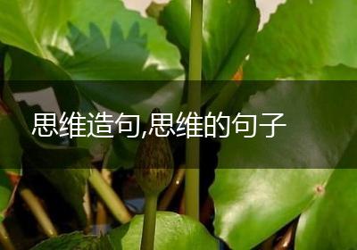 思维造句,思维的句子