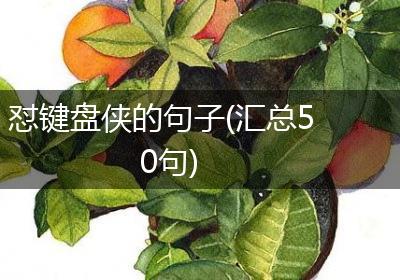 怼键盘侠的句子(汇总50句)