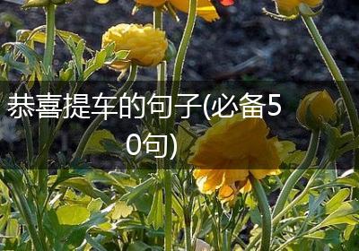 恭喜提车的句子(必备50句)