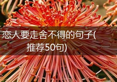 恋人要走舍不得的句子(推荐50句)