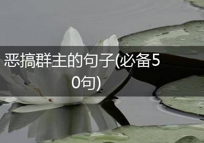 恶搞群主的句子(必备50句)