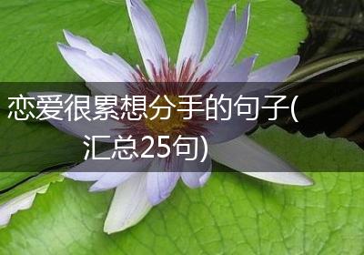 恋爱很累想分手的句子(汇总25句)