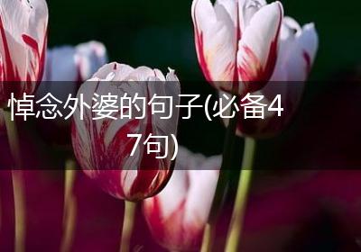 悼念外婆的句子(必备47句)
