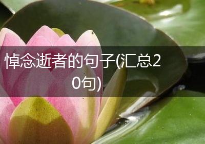 悼念逝者的句子(汇总20句)